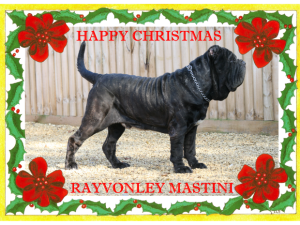 Copy of CHRISTMAS CARD 2008