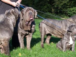 Nina,Leo,Bella & Luciano 28 10 2006