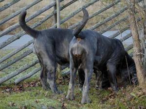 _DSC00550001_1