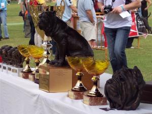 ATIMANA 2006 trophies