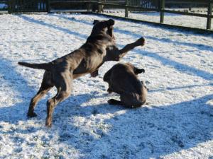 Copy of 03 01 2010 131