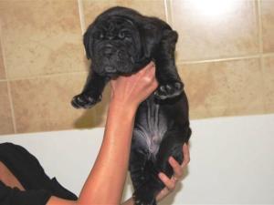 12 07 2009 034