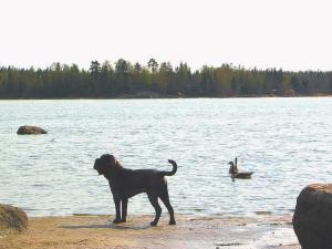 IMG_3877_1_10001