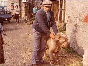 vittorio