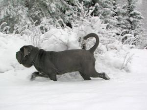 IMG_1543_1_10001