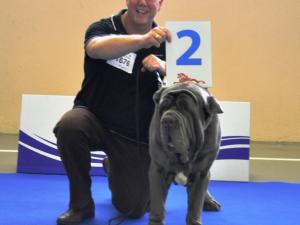 Copy of European Show 09-2010 738