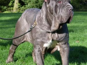 Bella 28 10 2006