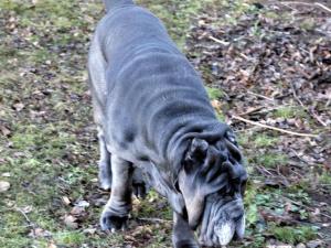 _DSC00590001