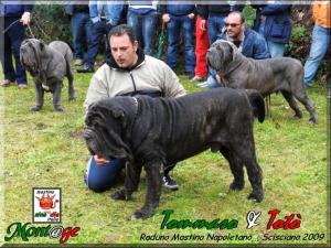 Scisciano 2009,, Toto e Tommaso