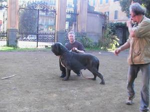 ROME 18 11 2006 164