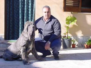 normal_CARLOe BAD1