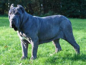 Bella.a 28 10 2006