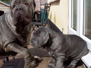 Luciano with Nina (mum)