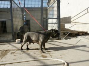 CLOTILDE
