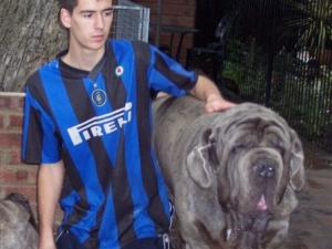 dogs 26 5 2007 152