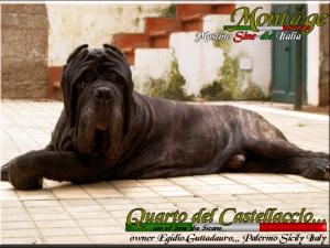 Quarto del Castellaccio,,