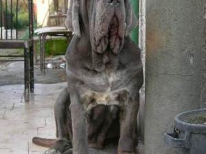 Immagine SARA 10 mounths