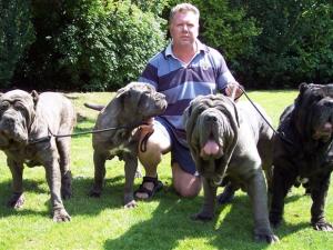dogs 24 06 2006.a 006