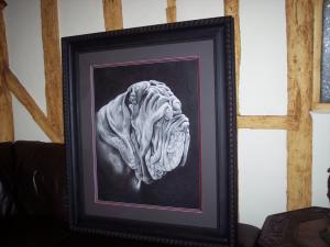 Copy of 24 01 2008 042