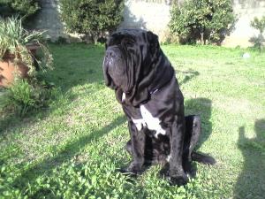 Photo040