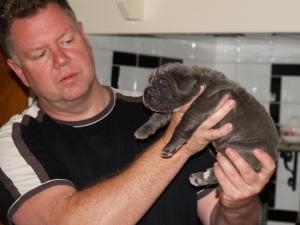 Lunas pups 5 5 2007 040