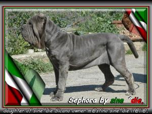 Sephora by sine^die 800 pixel