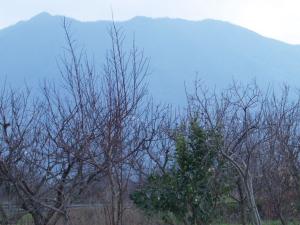 View from Vincenzo Manna back garden.. Mount vesuvius