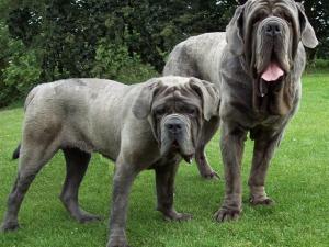 Carina & leo