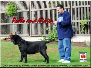 Sine^die Nikita 11 months