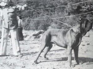 docu0015