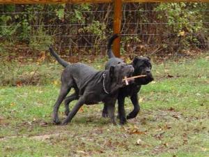 picture_008_411x490