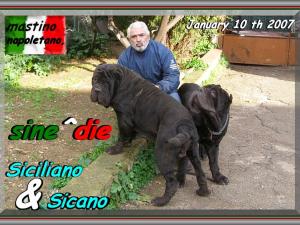 Siciliano & sine^die Sicano