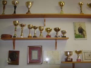 trophy3