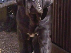 Copy of 12 08 2007 070