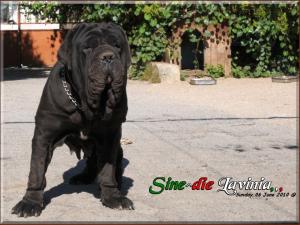 Sine^die Lavinia 06 Giugno 2010.....