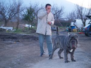 Dogs 18 01 2007 090