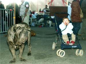 PICT0009b