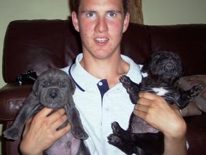 Matt Cox with Alfie and Giada from Hartu and Circe pups 02 07 2008 092