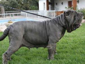 BEATRICE DI FONDO ANFOSSI