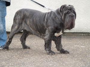 Rudy Dec 07 (1)