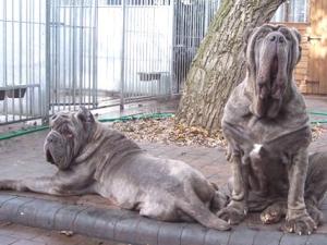 Circe & Luna