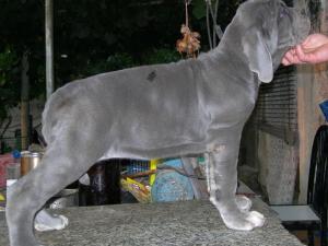 Sara 73 days
