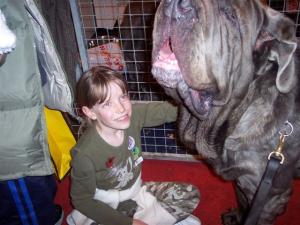 Discover dogs 11 11 2006 021
