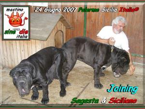 Segesta x Siciliano by sine^die,,, oo
