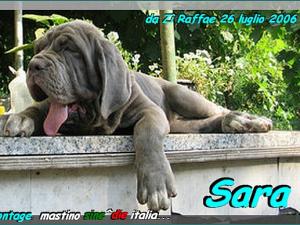 Sara by Giovanna Bianchi,,,, Napoli,,, Italy,,,