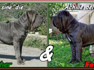 Sephora & Achille