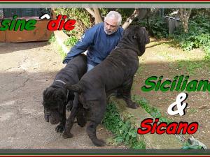 Siciliano & Sicano