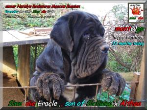 Sine^die Eracle todays 12 months,,, happy birthday