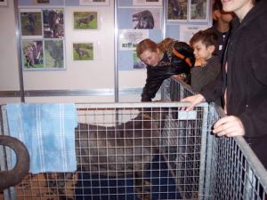 Discover dogs 11 11 2006 003