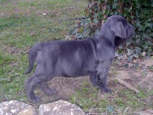 SANY0054